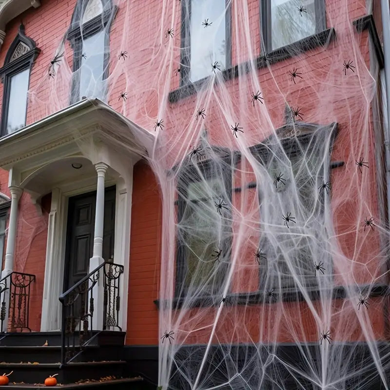 Spider Web with 100 Fake Spiders