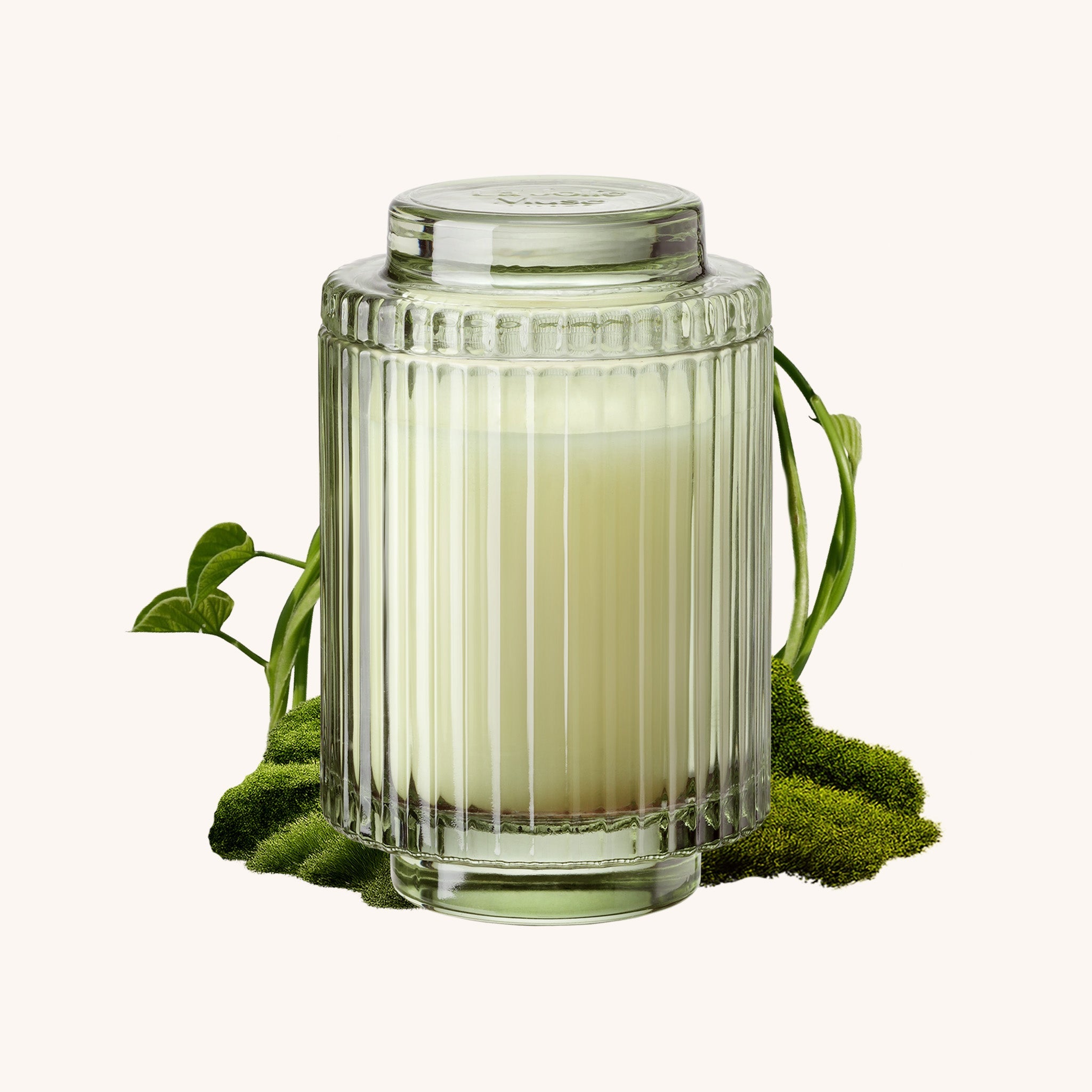 Amélie– Kyoto Vine & Moss Candle