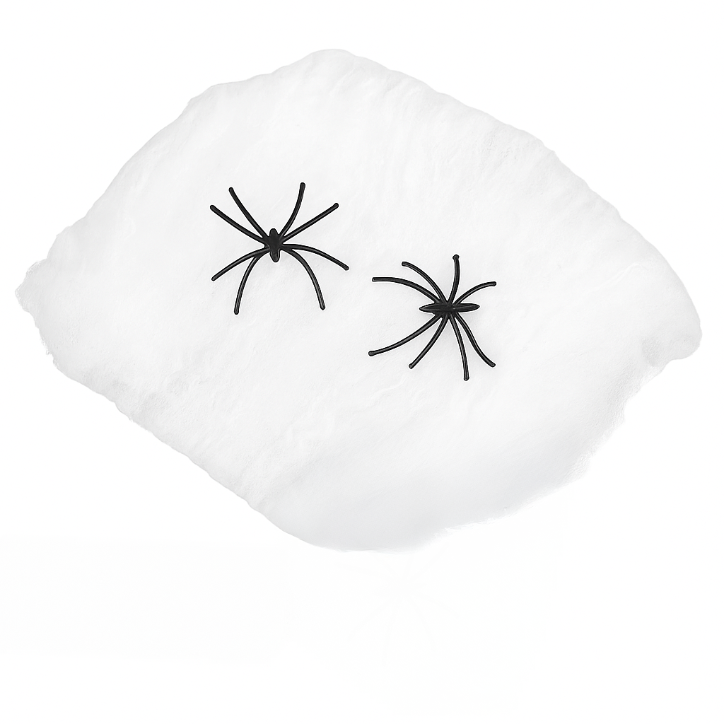 Spider Web with 100 Fake Spiders