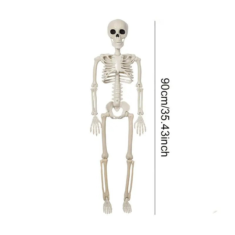 Poseable Skeleton Decoration
